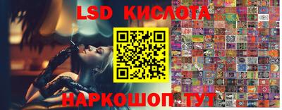 spice Будённовск
